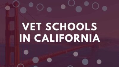 Vet Schools In California