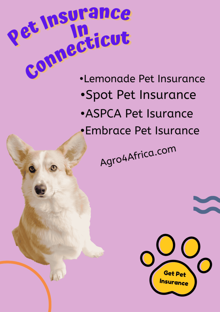 Infographics showing a list of the 4 best insurance companies in Connecticut 