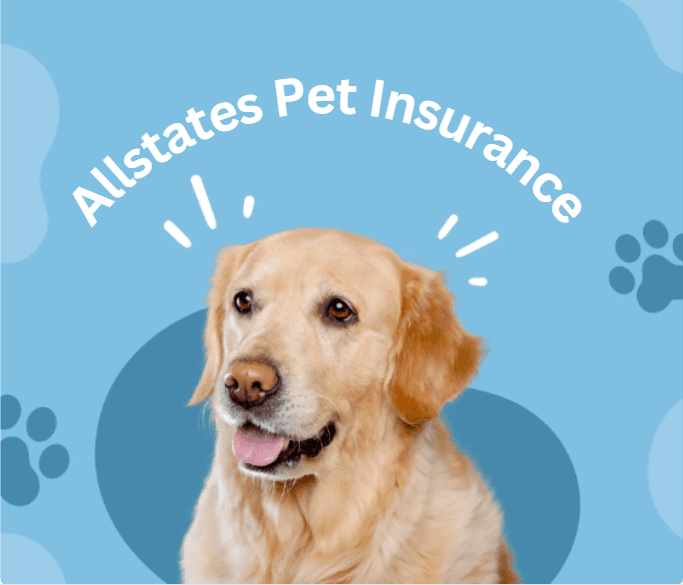 Allstate Pet Insurance – Everything You Need to Know