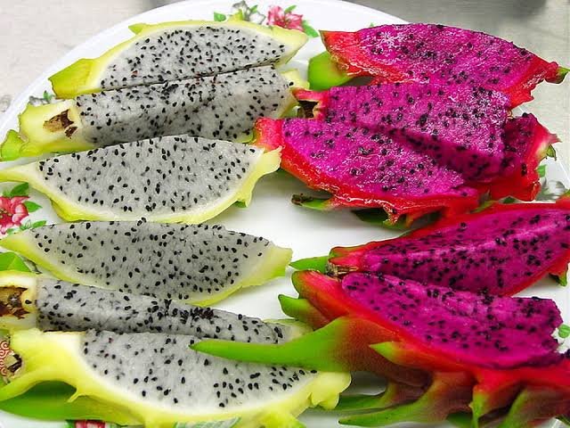Can Dogs Eat Dragon Fruits? 
