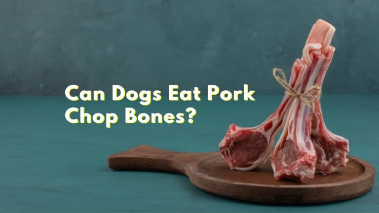Can Dogs Eat Pork Chop Bones? The Shocking Answer!!