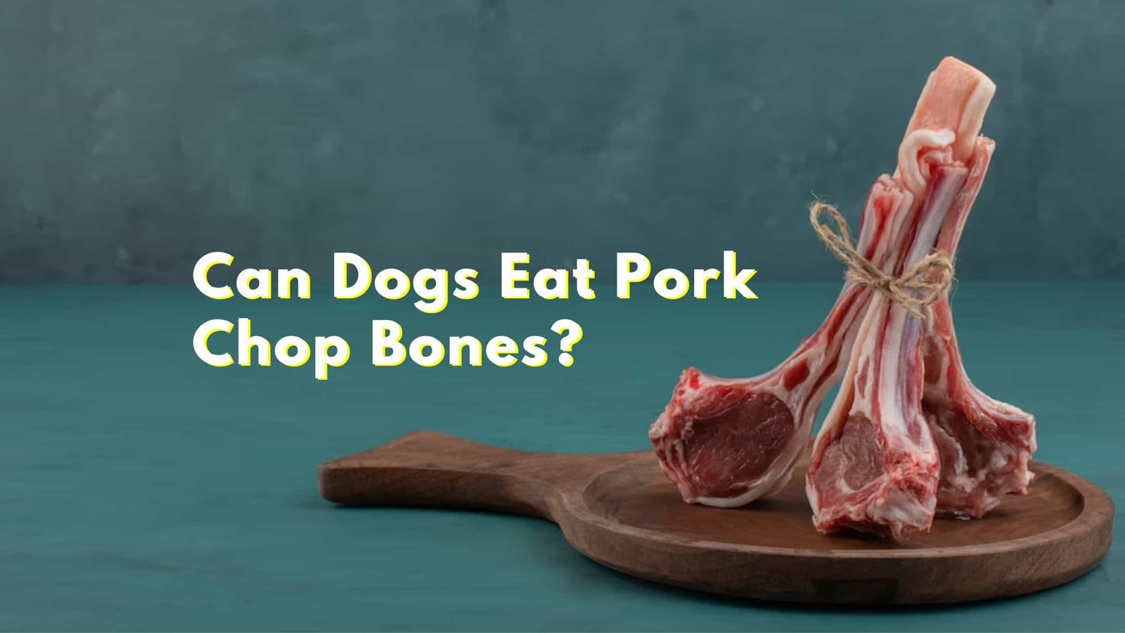 are pork steak bones safe for dogs
