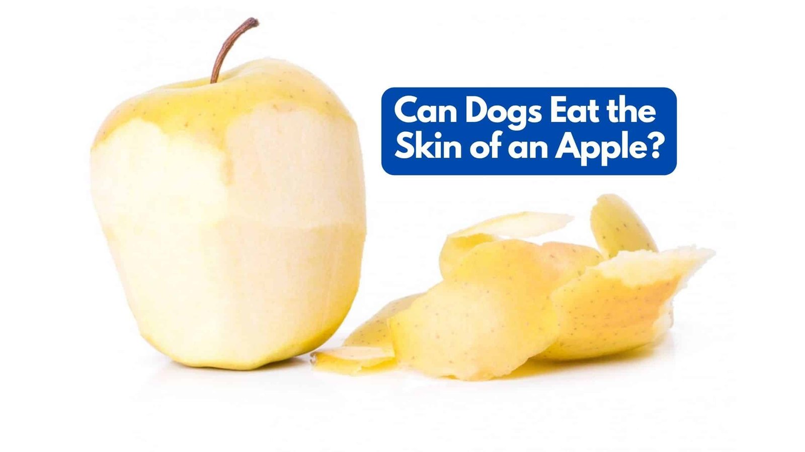 Can dogs eat the skin of an apple