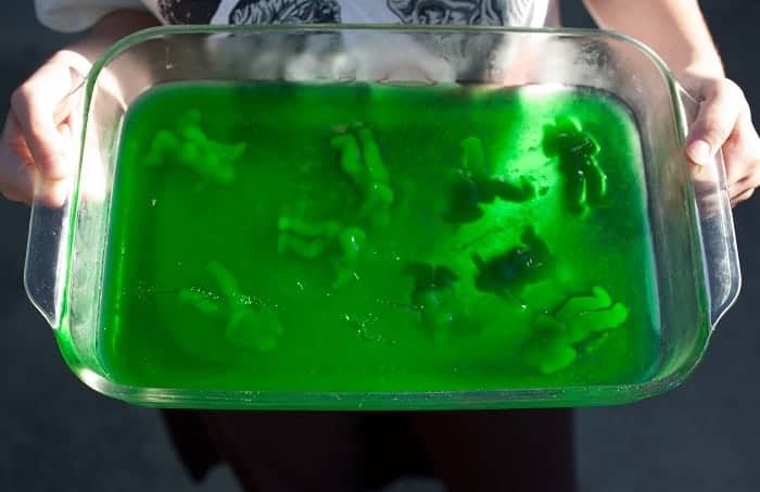 can dogs eat home-made gelatin jello