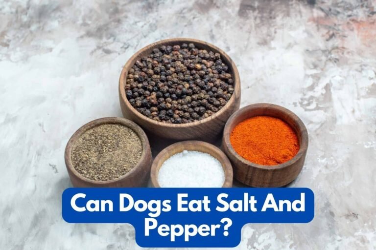 Can Dogs Eat Salt And Pepper?