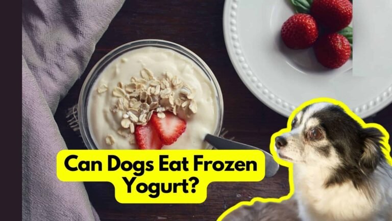 Can Dogs Eat Frozen Yogurt? Unveiling the Truth