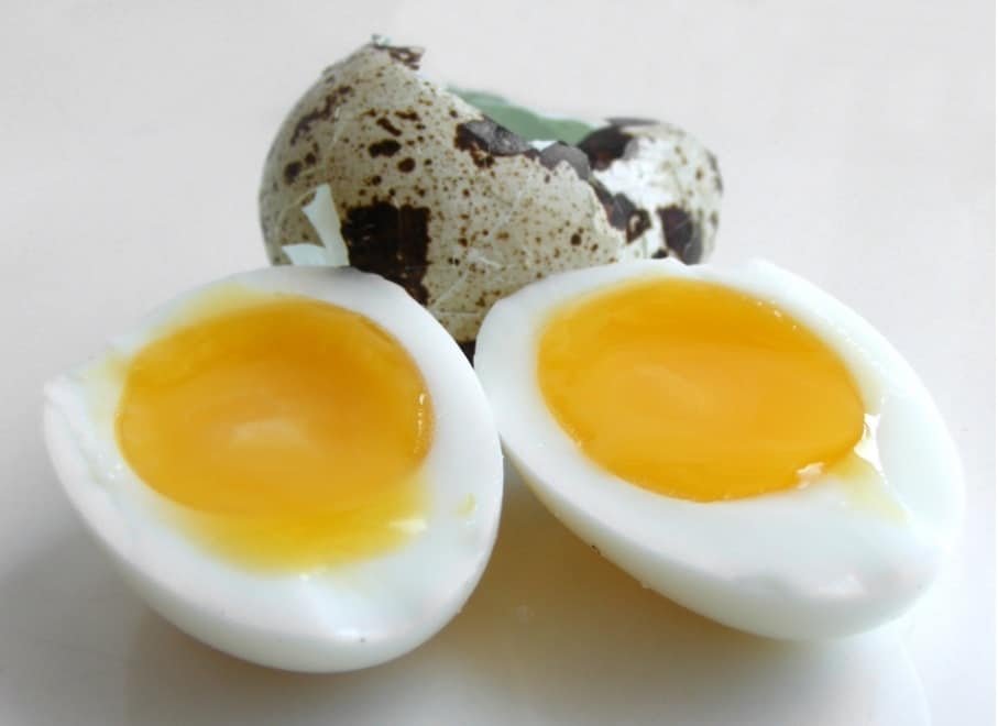 quail egg cut open -  Can dogs eat boiled quail eggs