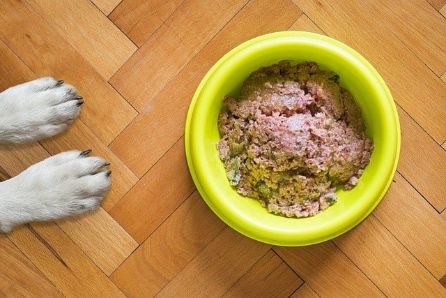 Wet food mixed with collagen powder for dogs.