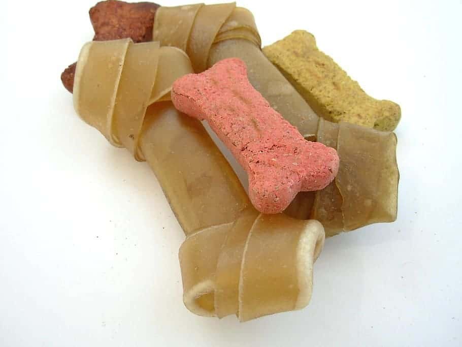 Can Dogs Eat Rawhide Chews?
