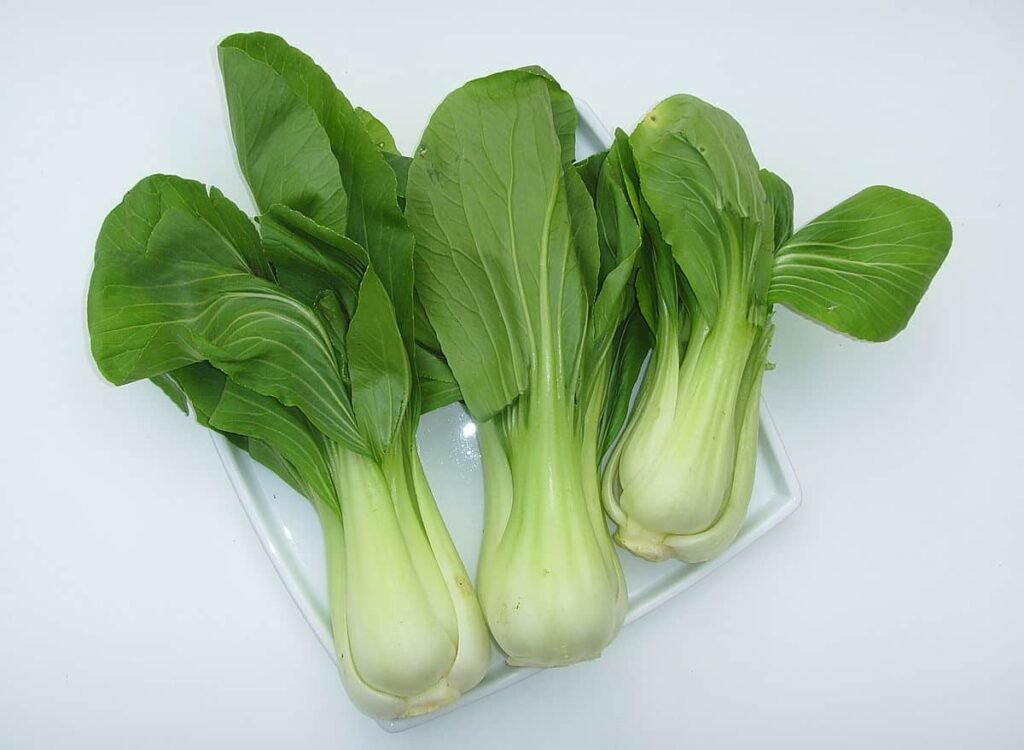 Can dogs eat baby bok choy