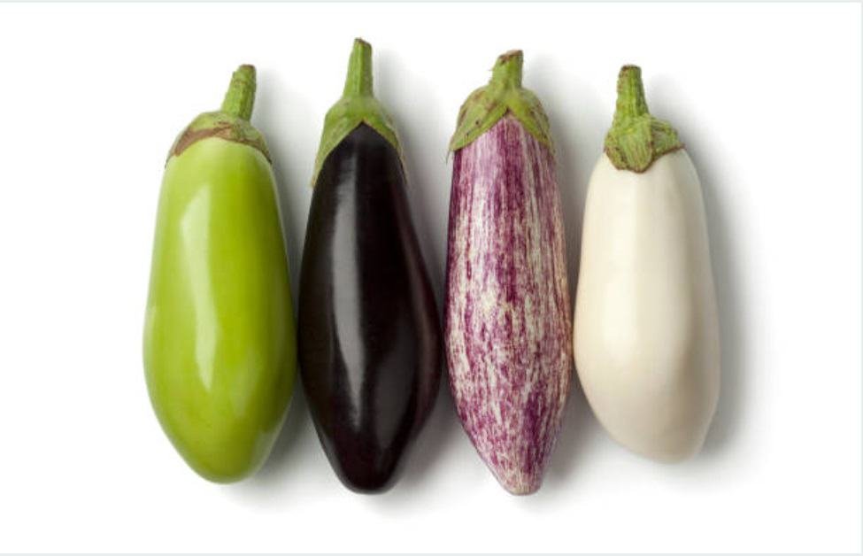 Eggplants in different colours