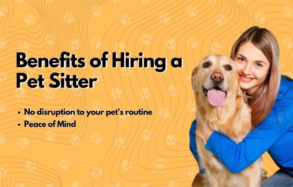 Benefits of Dog Sitting for pet owners