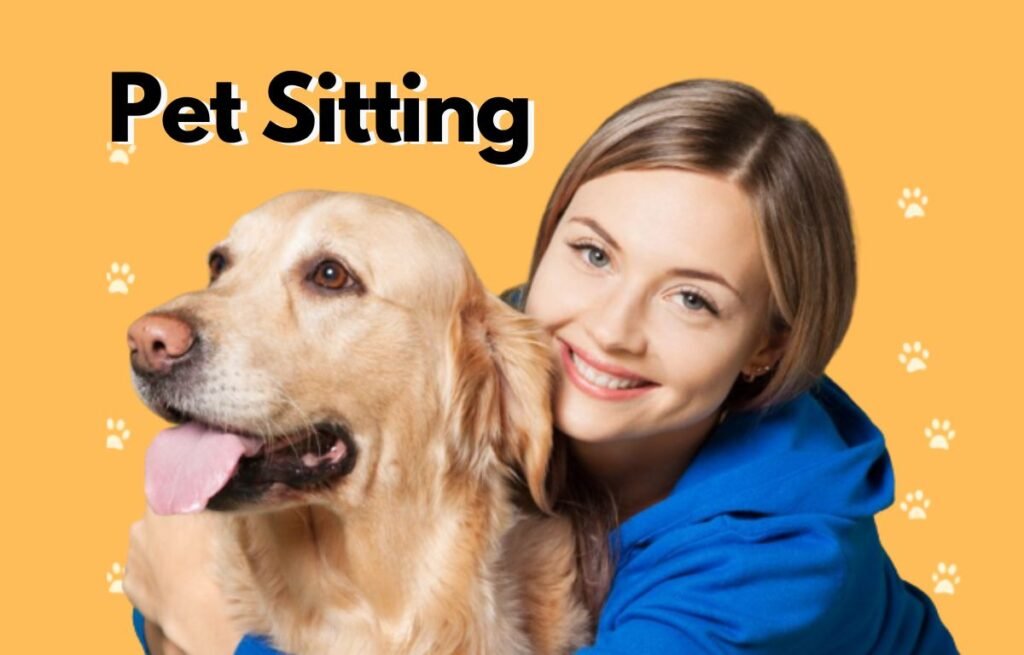 Pet Sitting, dog-sitting