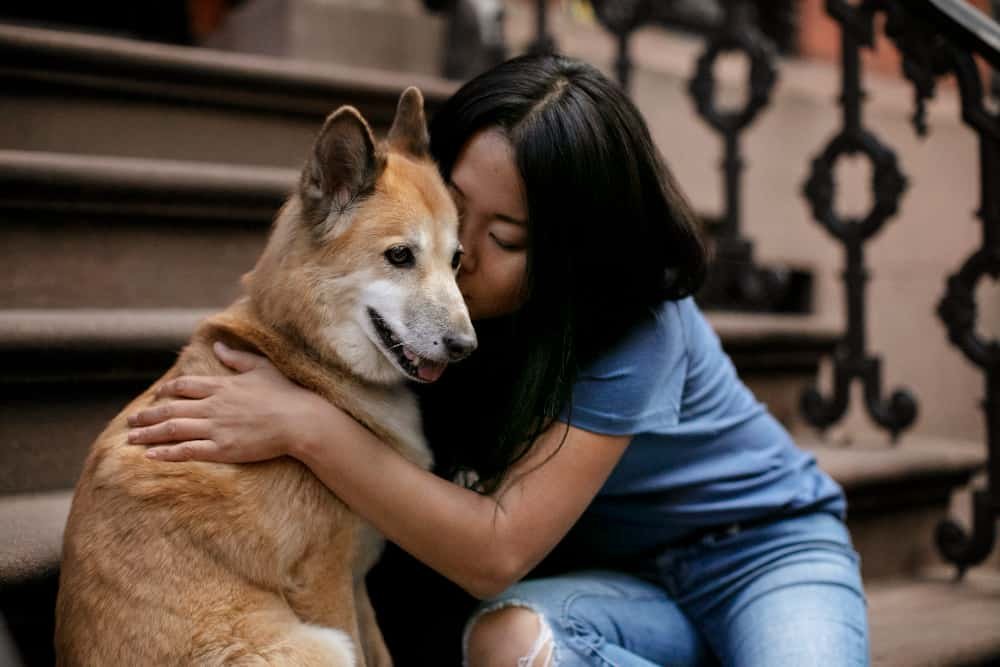Emotional support dogs are common emotionals support animals.