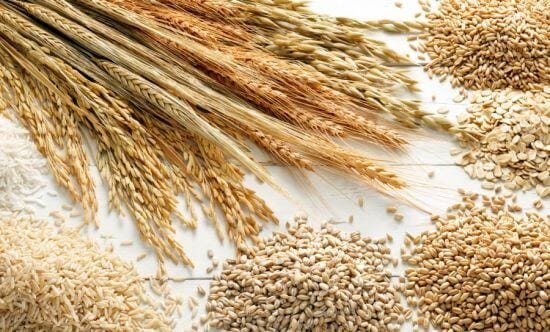 grains-are-most-lucrative-agricultural-business-in-nigeria