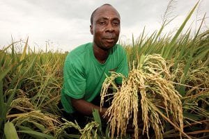 crop-farming-business-ideas-agro4africa