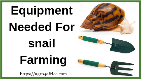 Equipment Needed For snail Farming