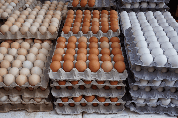 Chicken-eggs-in-crates-poultry-farming-for-beginners