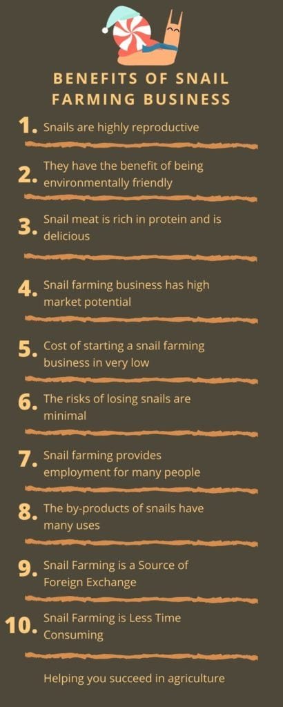 Benefits-of-snail-farming-infographics