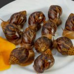 benefits-of-snail-farming-image