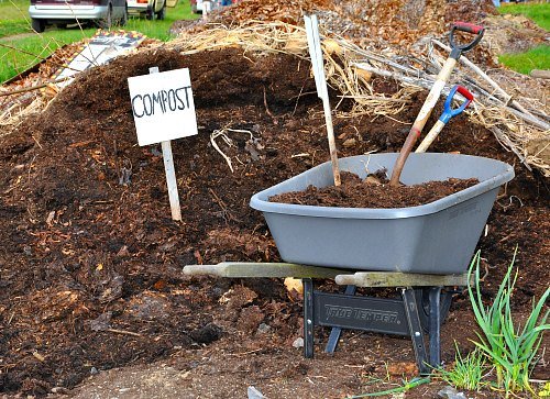 Compost for cucumber farm