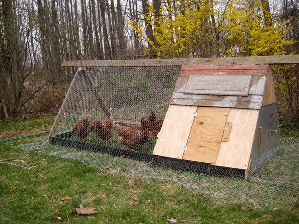 a-folding-unit-poultry-house