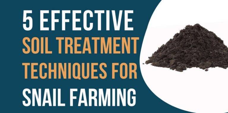 5 Most Effective Ways to Treat the Soil for Snail Farming [With Video]