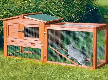 Everything You Need to Know About Rabbit House and Housing Systems