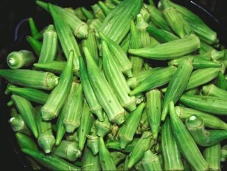 what crops can I grow together with my okra plants