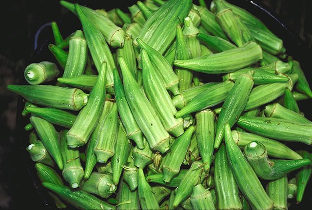 Okra Companion Planting  [The best and the worst plants to grow with okra]