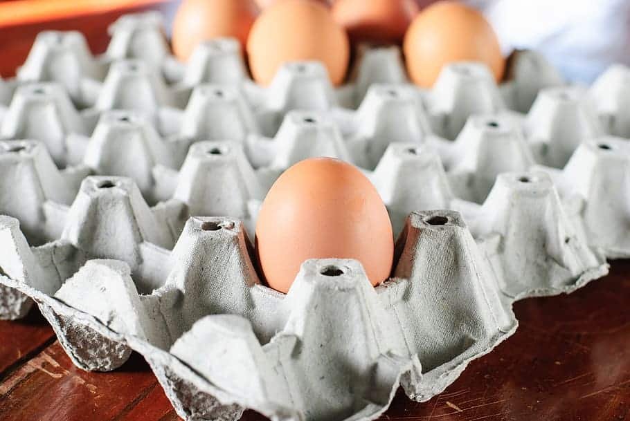 egg-trays-for-handling-eggs