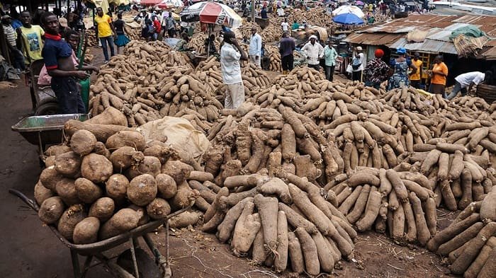 yam-is-a-hot-sell-agro-product-in-Nigeria