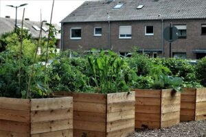 Food-Garden-Bed-Cultivation-Raised-Bed-Vegetables