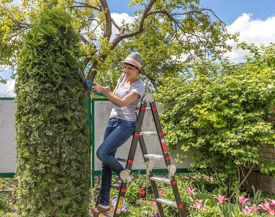 Gardening tips and tricks for beginners. A lady trimming plants in her garden while on a ladder.
