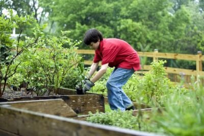 8 Simple Gardening Tips For Growing Vegetables in 2024