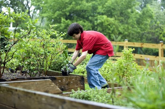 boy-planting-vegetables-in-garden