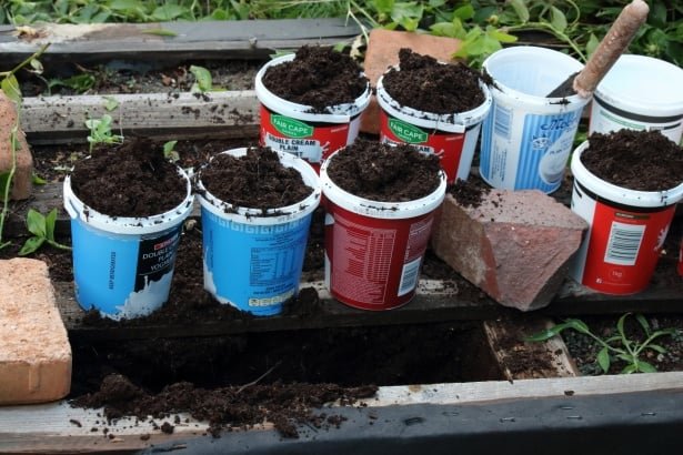plastic-containers-with-soil for gardening