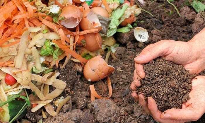 Ecology-Waste-Fertilizer-Compost-Garden-Nature-manure