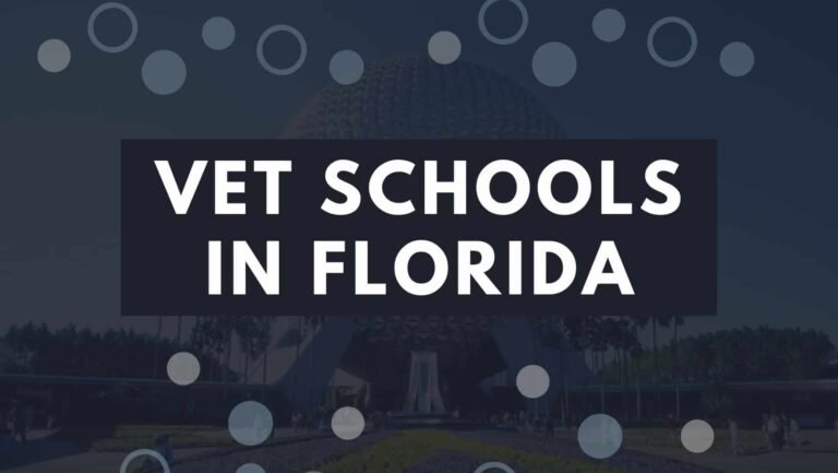 10 Vet Schools In Florida 2022 | Enroll Into Florida’s Veterinary Colleges