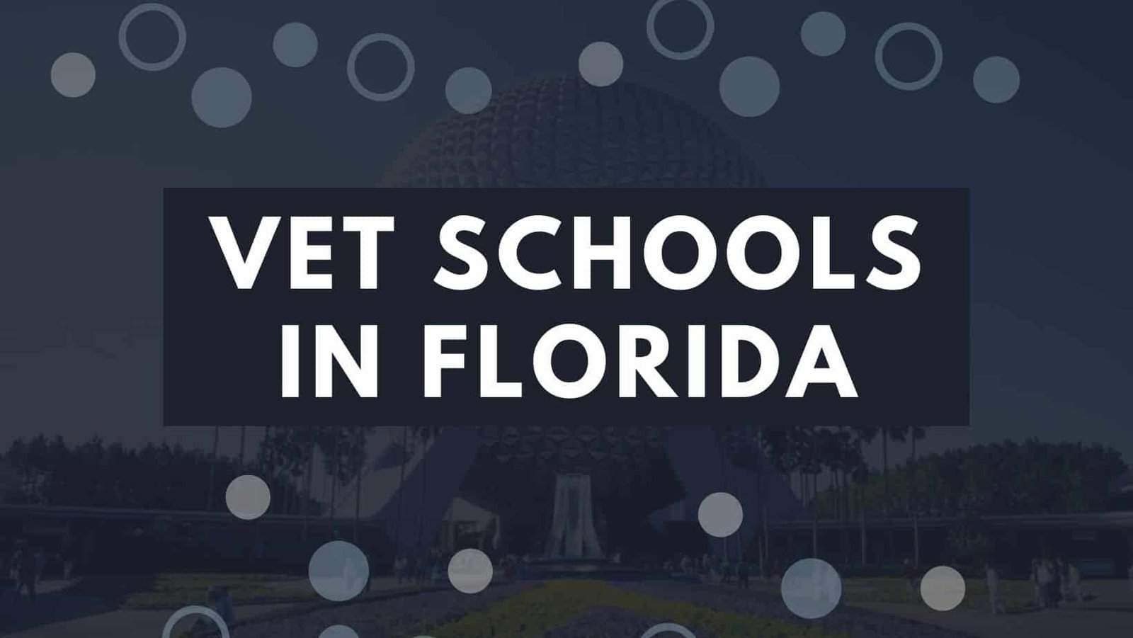 Vet Schools In Florida