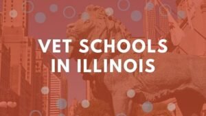 10 Vet Schools In Illinois 2022 | How To Get Into Illinois Veterinary Colleges.