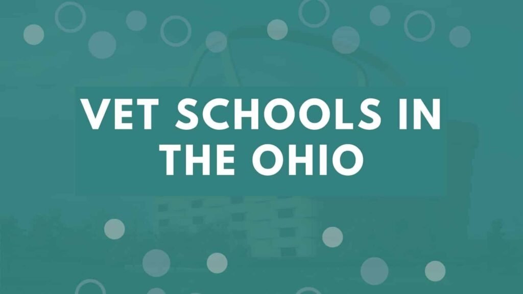 Vet-Schools-In-Ohio-for-students