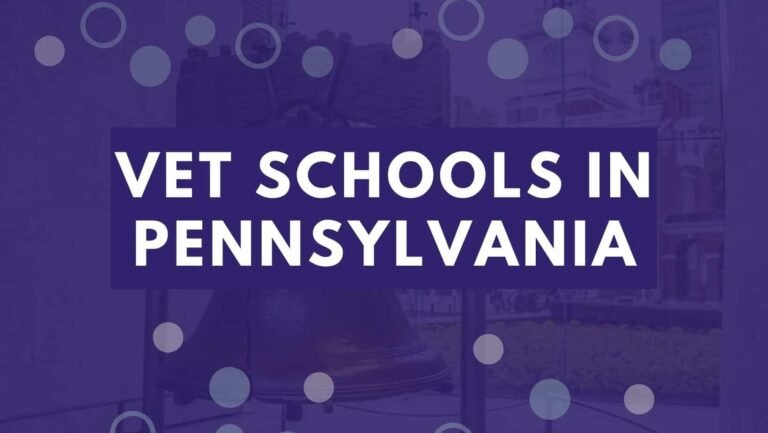 10 Vet Schools In Pennsylvania 2022 | Enroll Into Penn Veterinary Colleges.