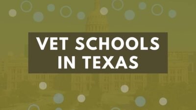 Vet Schools In Texas