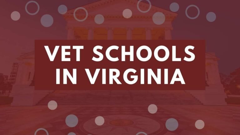 Top 7 Vet Schools In Virginia 2022 | Enroll Into Virginia Veterinary Colleges