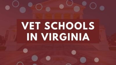 Vet-Schools-In-Virginia