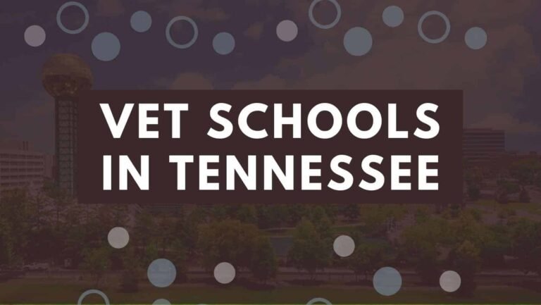 10 Vet Schools In Tennessee 2022 | How To Enroll into Tennessee Veterinary Colleges