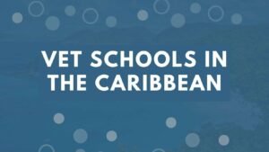 Vet-Schools-In-the-Caribbean