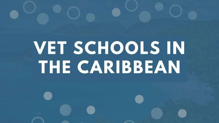 Top Vet Schools in the Caribbean 2022 | Enroll Into Caribbean Veterinary Colleges