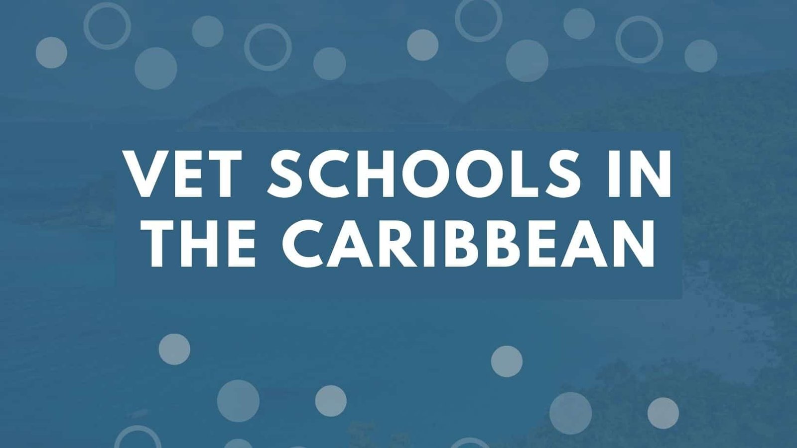 Vet-Schools-In-the-Caribbean